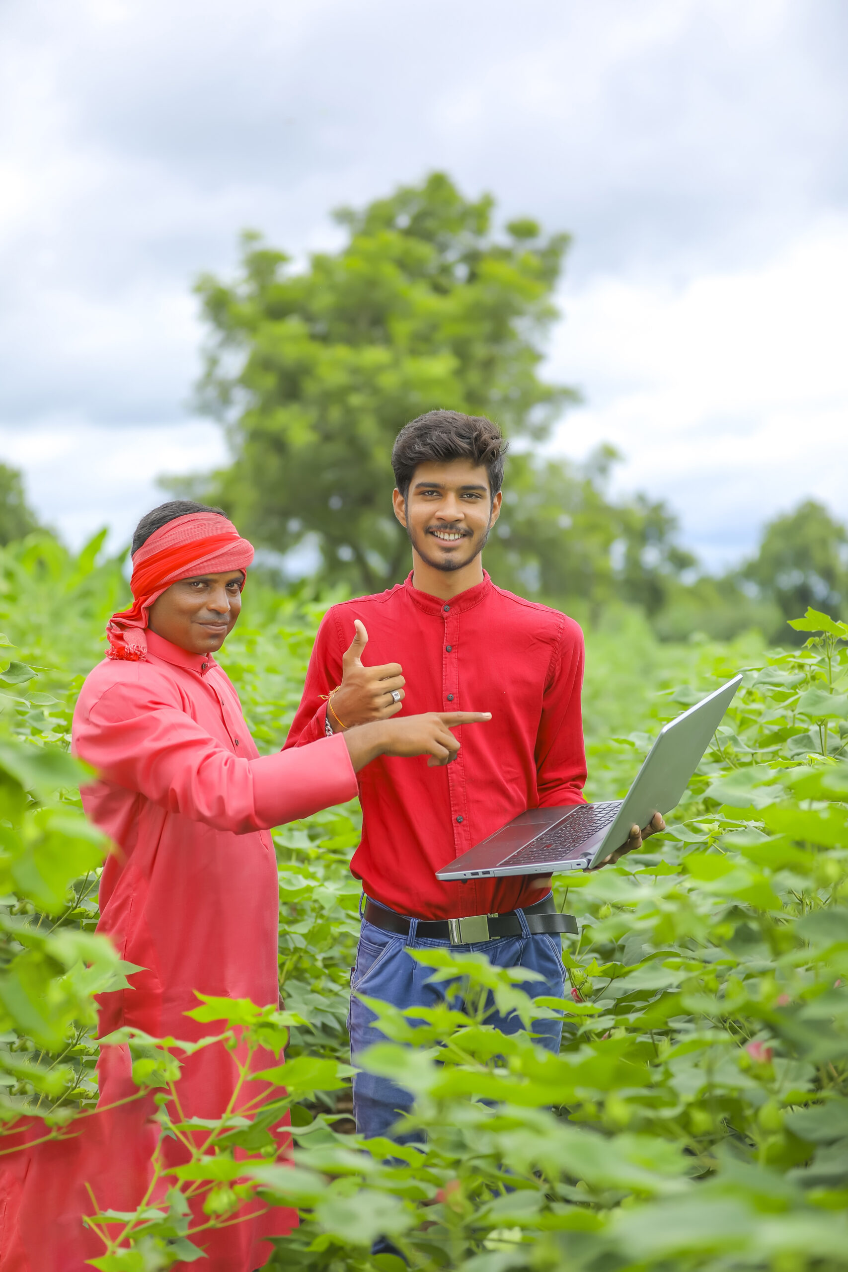 Young Indian farmer with agronomist at Cotton field , showing some information in laptop